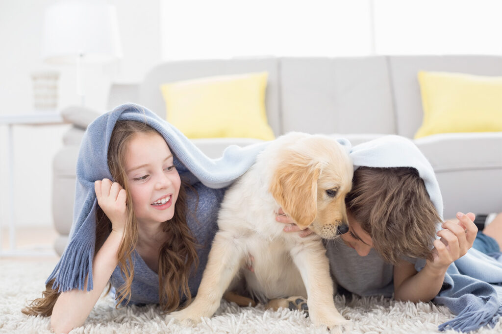 kids playing with dog enjoying perfect home comfort