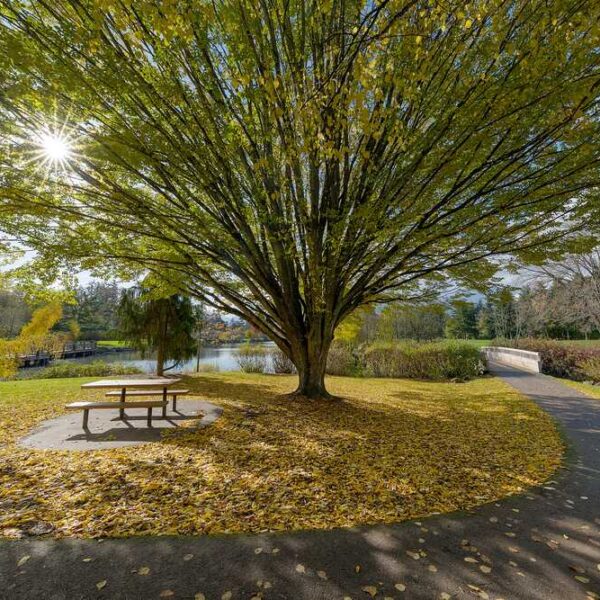 Beaverton Oregon